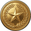 Domain Champion Medal Badge